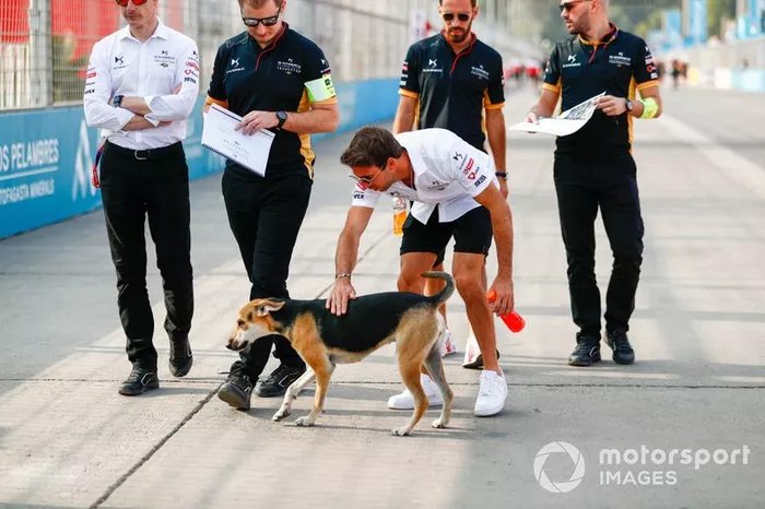 Antonio Félix da Costa, DS Techeetah, DS E-Tense FE20 acaricia a un perro callejero
