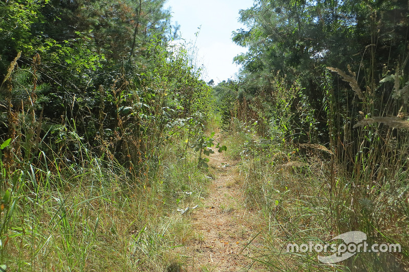 Paseo histórico por la pista de Hockenheimring