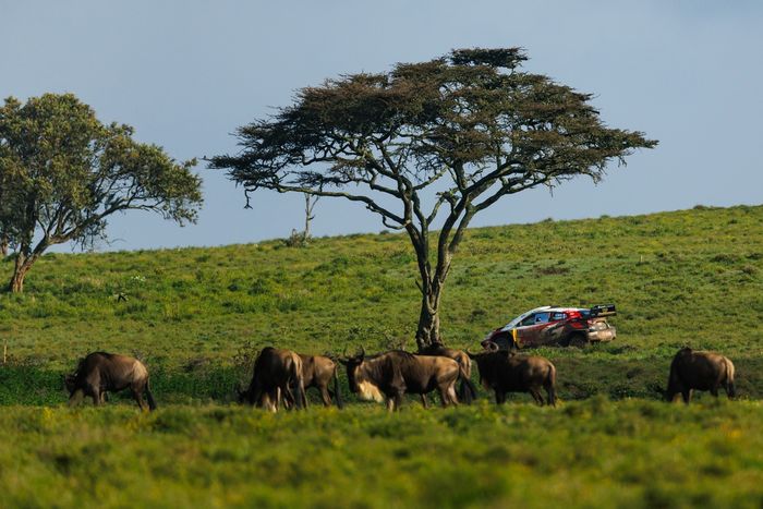 Себастьян Ожье, Венсан Ландэ, Toyota Gazoo Racing WRT Toyota GR Yaris Rally1