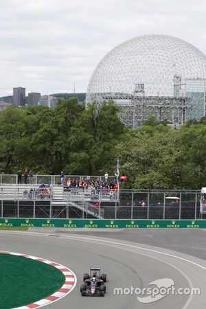Fernando Alonso, McLaren MP4-31