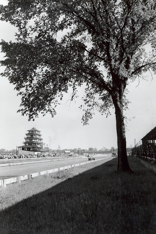 Een boom bij het uitkomen van bocht 4, de Pagoda in de achtergrond