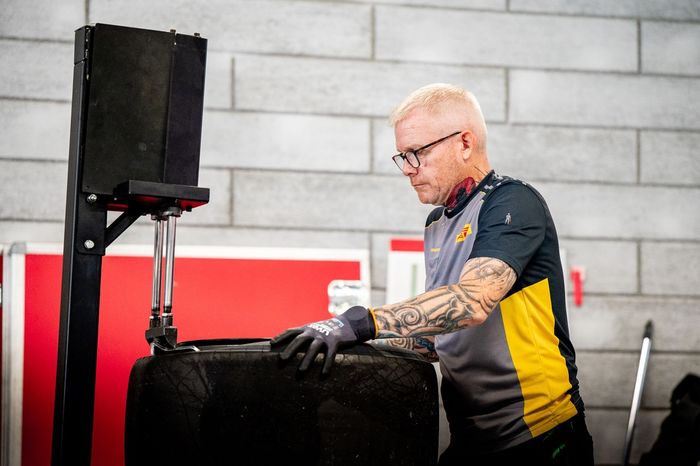 Pirelli member