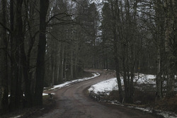 Parte de la ruta del rally