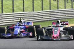 Toro Rosso et Haas