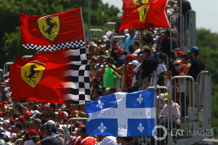 Fans and flags