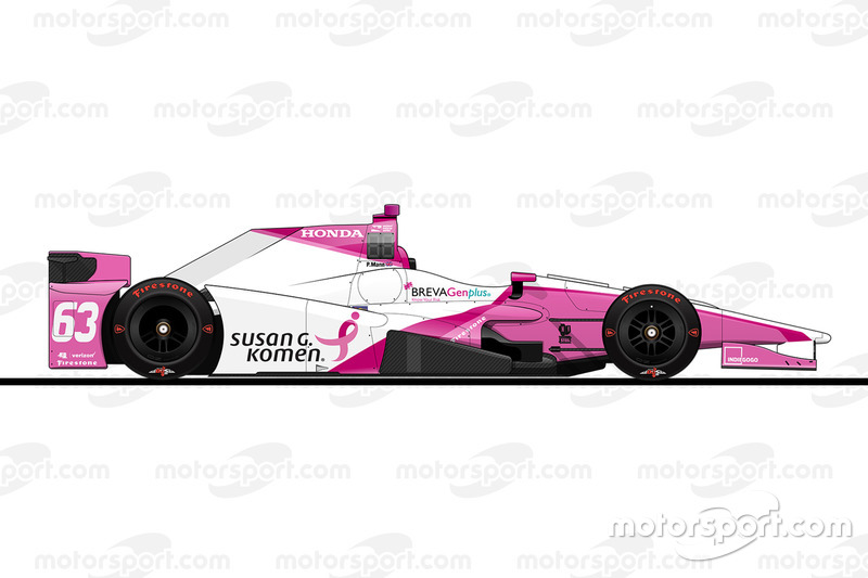 Startposition 25: Pippa Mann (Coyne-Honda)