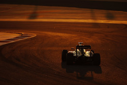 Stoffel Vandoorne, McLaren MP4-31
