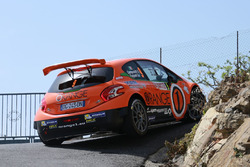 Simone Campedelli e Danilo Fappani, Peugeot 208 T16 #9