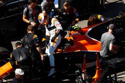 Stoffel Vandoorne, McLaren MCL32