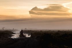 #17 Monster Energy Honda Team: Paulo Goncalves