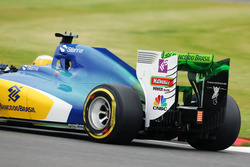 Marcus Ericsson, Sauber C35, mit FlowViz-Farbe