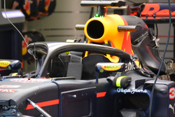 Система защиты головы Red Bull Racing