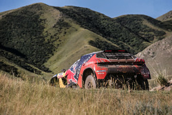 #100 Peugeot: Stéphane Peterhansel, Jean-Paul Cottret