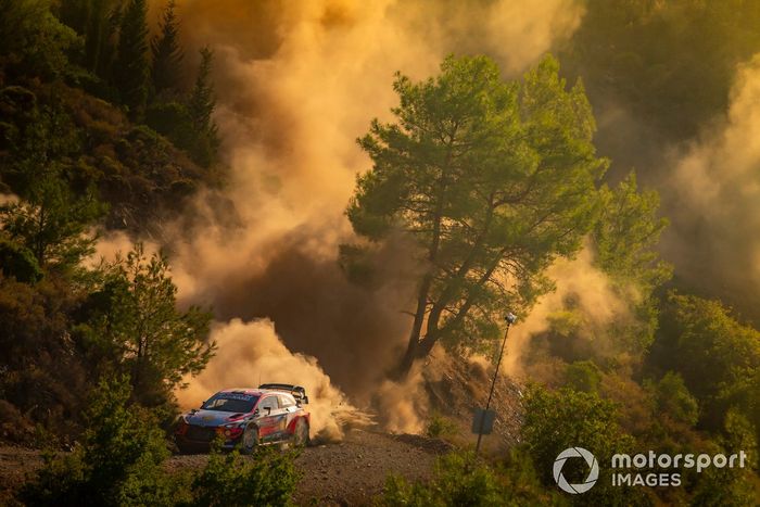 Thierry Neuville, Nicolas Gilsoul, Hyundai Motorsport Hyundai i20 Coupe WRC