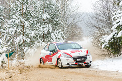 Николай Грязин и Ярослав Фёдоров, Peugeot 208 R2