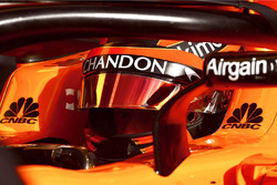 Stoffel Vandoorne, McLaren MCL33