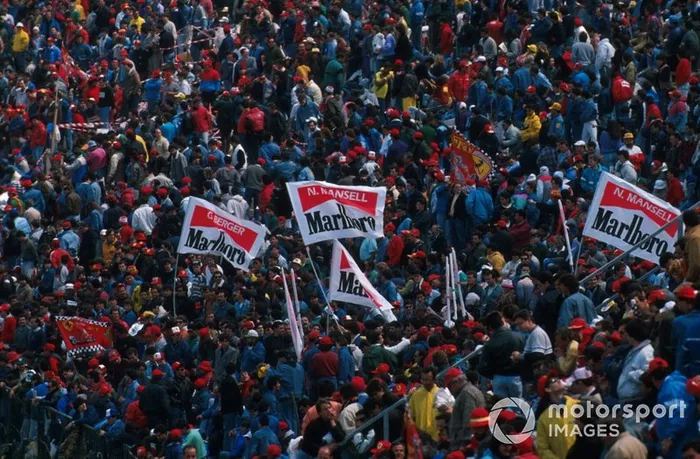 Fans