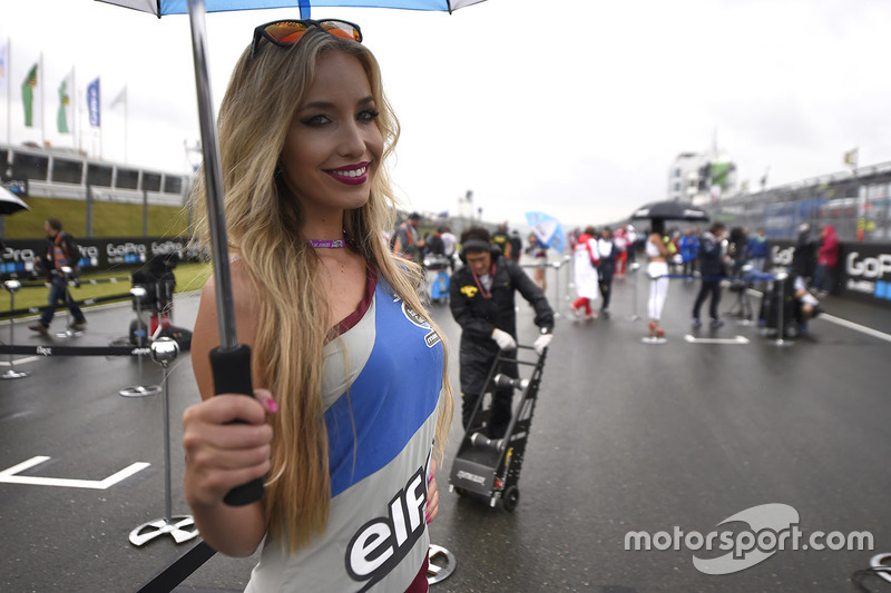 Lovely grid girl