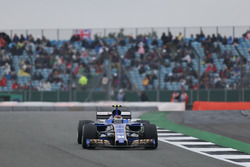 Pascal Wehrlein, Sauber C36