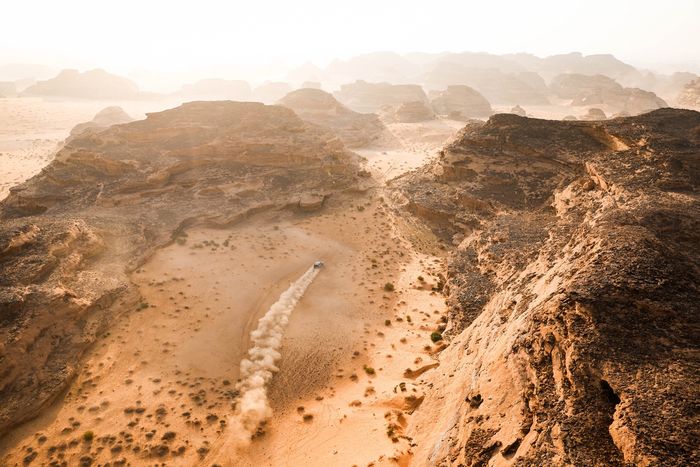 #225 Ford M-Sport Ford: Carlos Sainz Sr, Lucas Cruz