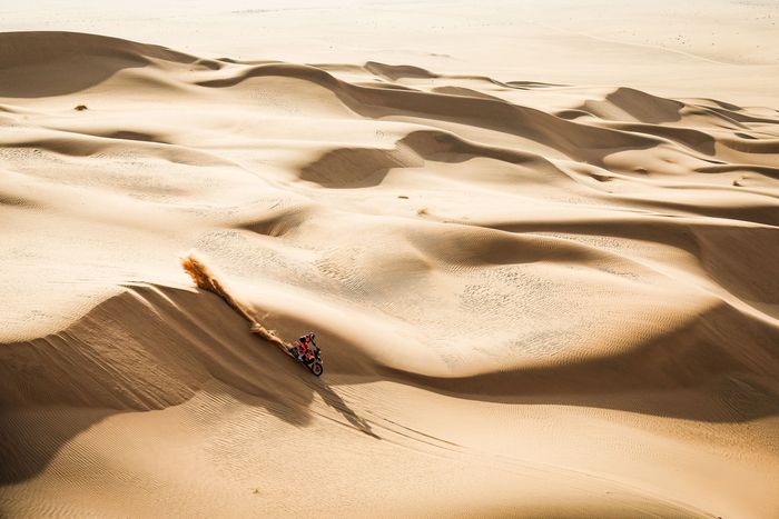 #1 Red Bull KTM Factory Racing KTM: Daniel Sanders