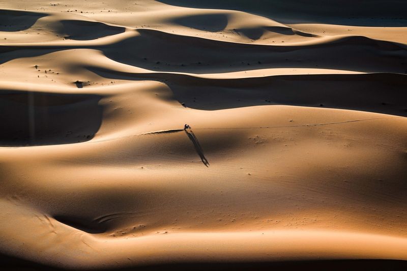 #73 Red Bull KTM Factory Racing KTM : Edgar Canet