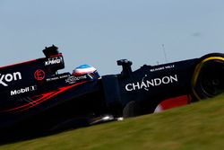 Fernando Alonso, McLaren MP4-31