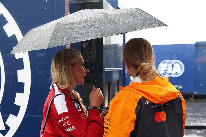 Rain in the paddock