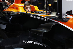 Fernando Alonso, McLaren