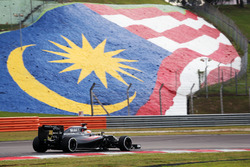 Fernando Alonso, McLaren MP4-31