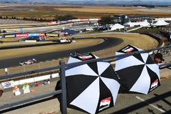 Fans with IndyCar umbrellas