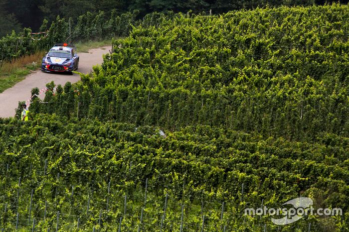 Thierry Neuville, Nicolas Gilsoul, Hyundai i20 WRC, Hyundai Motorsport