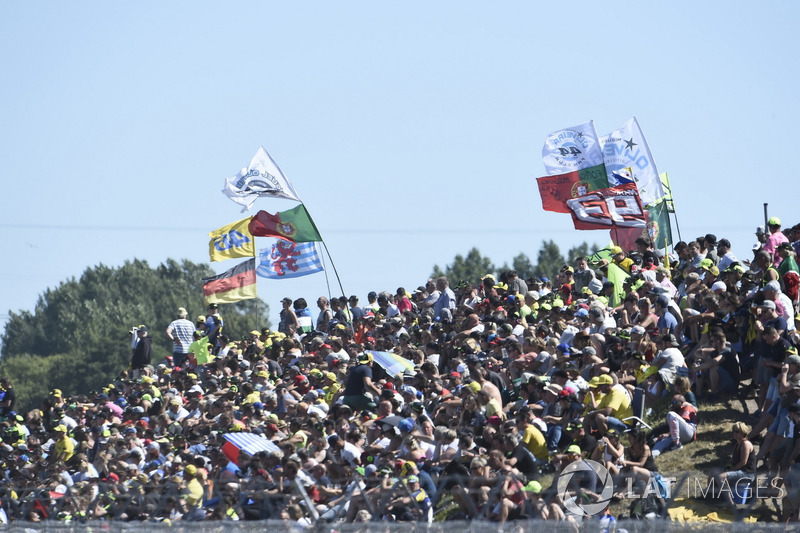 Tifosi