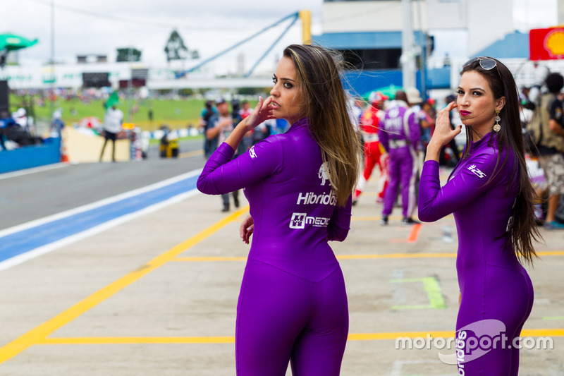 Grid Girls em Goiânia