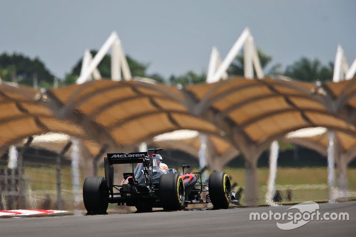 Fernando Alonso, McLaren MP4-31