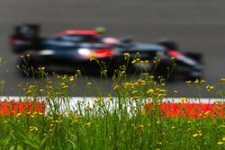 Jenson Button, McLaren MP4-31