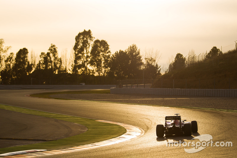 Max Verstappen, Scuderia Toro Rosso STR11