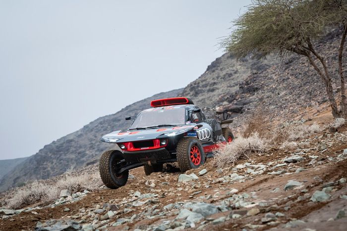 #207 Team Audi Sport Audi: Carlos Sainz Sr, Lucas Cruz