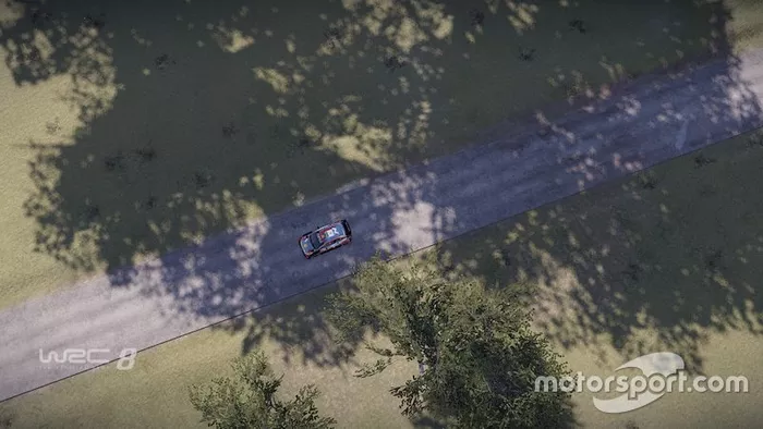 Screenshot WRC8