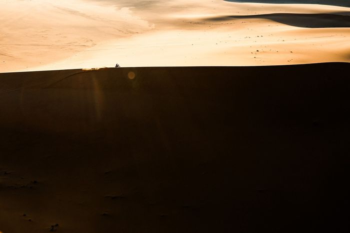 #73 Red Bull KTM Factory Racing KTM: Edgar Canet