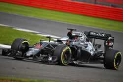 Фернандо Алонсо, McLaren MP4-31