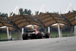 Stoffel Vandoorne, McLaren MCL32