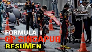 RESUMEN del GP de Singapur F1 2023