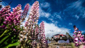 Królewski Rajd Skandynawii 2024 - Etap 1