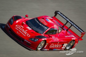 #99 GAINSCO/Bob Stallings Racing Corvette DP: Jon Fogarty, Alex Gurney, Memo Gidley, Darren Law