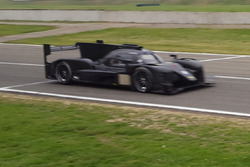 BR1 LMP1 发布