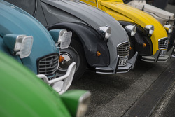 Un line-up de Citroën 2CV