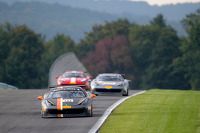 Watkins Glen