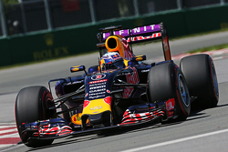 Daniel Ricciardo, Red Bull Racing RB11