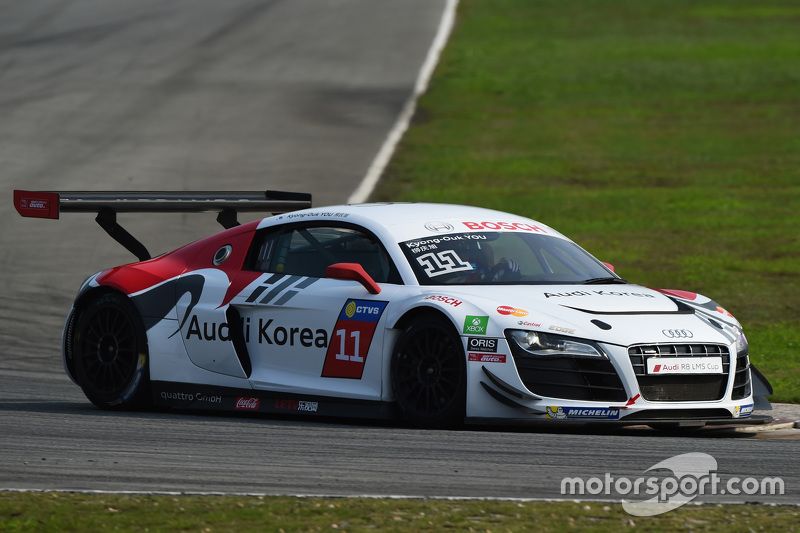 Team Audi Korea